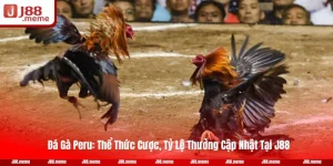 Đá Gà Peru: Thể Thức Cược, Tỷ Lệ Thưởng Cập Nhật Tại J88