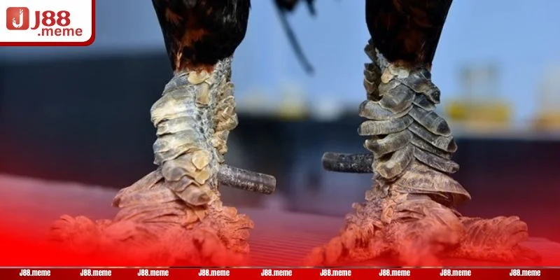 Mỗi loại vảy rồng thể hiện phong cách chiến đấu khác nhau.